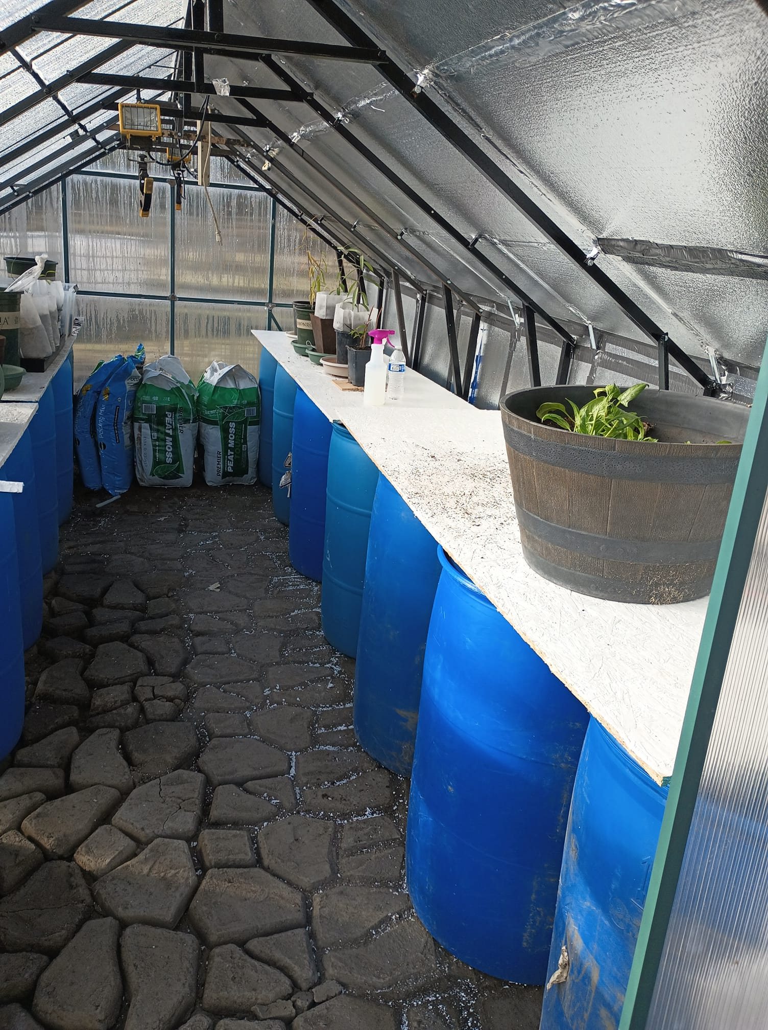 4 season Greenhouse in Freezing Conditions: Insights and Future Enhancements